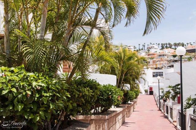 Apartament Malibu Blue Costa Adeje (Tenerife) Exterior foto