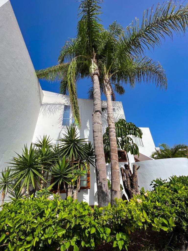 Apartament Malibu Blue Costa Adeje (Tenerife) Exterior foto