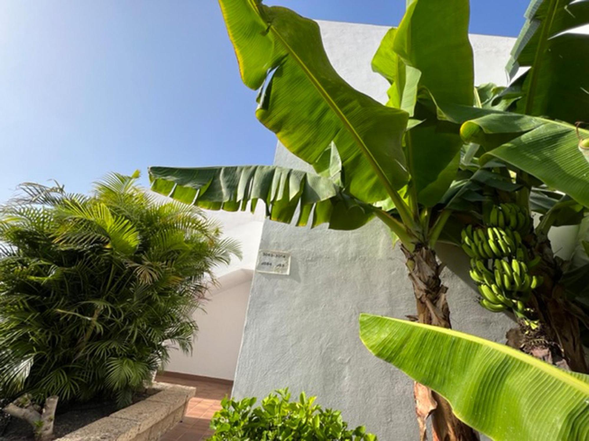 Apartament Malibu Blue Costa Adeje (Tenerife) Exterior foto